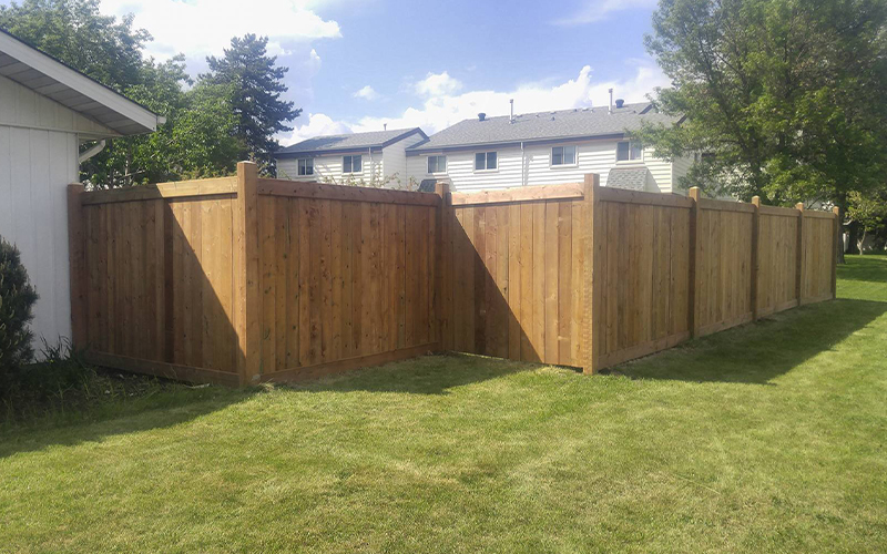 Fence (1)