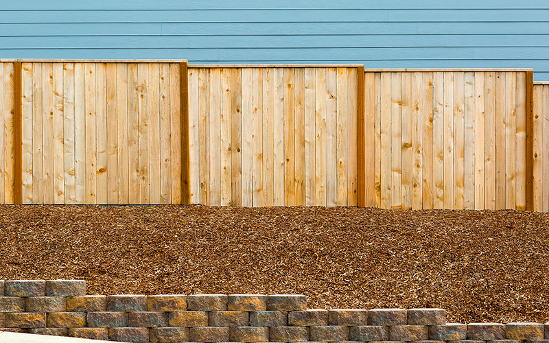 Fence (4)